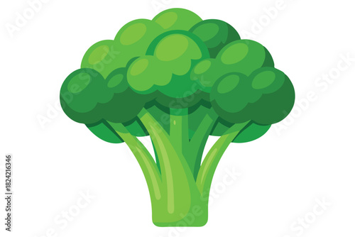 Vibrant broccoli floret showcases its textured surface and organic form against a white backdrop