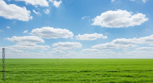 Fototapeta Naklejka Na Ścianę i Meble -  Green field and blue sky with clouds landscape nature grass summer rural horizon