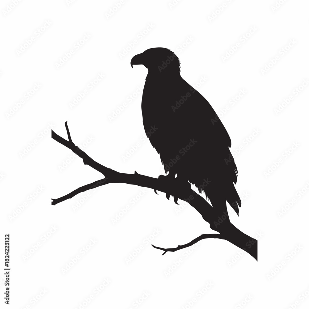 Obraz premium Silhouette of a Majestic Eagle Perched on a Tree Branch