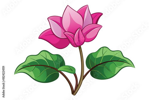 Illustrated pink lotus flower blooms with bold green leaves against a pure white backdrop