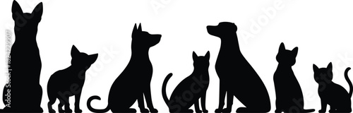 Pet silhouettes, dogs and cats together, animal lineup illustration, domestic animals artwork, black silhouette pets design for stock images