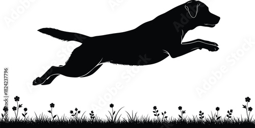 Black silhouette of an active Labrador Retriever dog mid-air, leaping or jumping happily over a strip of grass and flowers, depicting play, movement, and freedom vector illustration