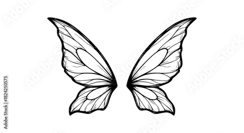 Hand-drawn black and white vector of fairy wings, delicate veins, elegant curves, isolated, magical fantasy style