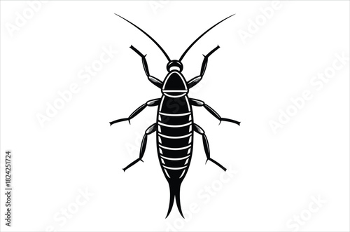 A detailed black and white illustration of a cricket showcasing its anatomy