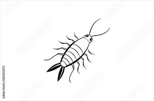 A simple black and white illustration of an earwig insect on a white background