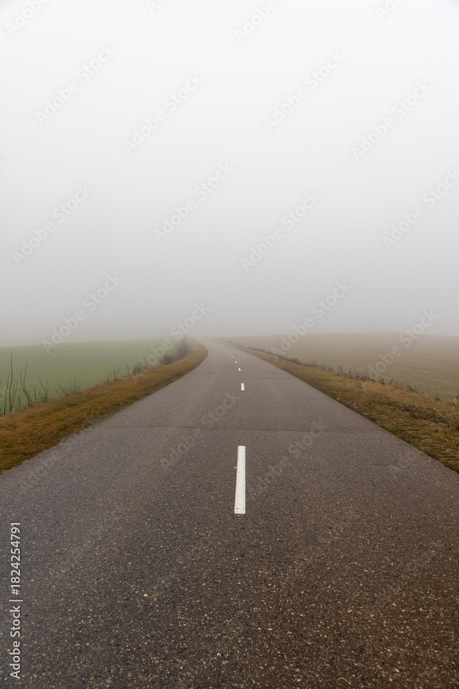 Fototapeta premium road for cars in December in cloudy weather, the road and fog in the distance that obscures visibility, yellow grass and shrubs without foliage grow along the road
