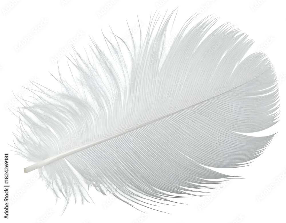 Fototapeta premium Delicate white feather floats gently, soft and ethereal