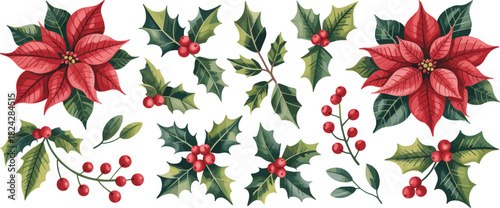 Poinsettia And Holly Christmas Plant Elements With Red Berries leaves