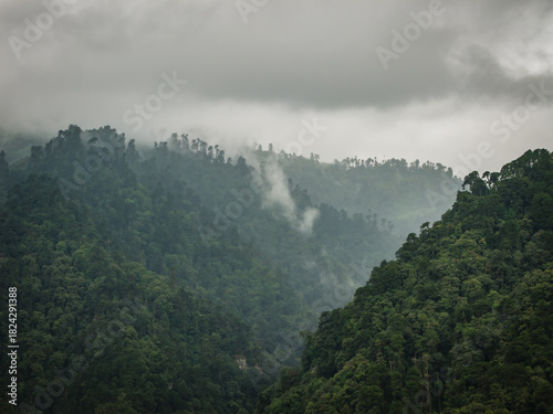 Aerial view of verdant forests clinging to steep slopes, shrouded in mist under a brooding sky in the Black Mountains range, Chendebi, Trongsa, Bhutan.