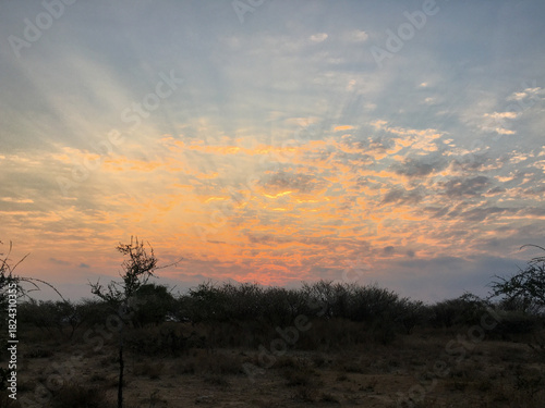Coucher de soleil sur la savane