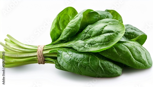 Spinach Isolated Full Depth Of Field