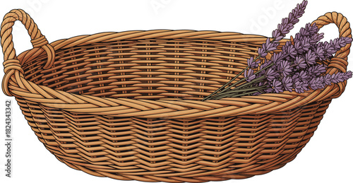 Hand Drawn Wicker Basket Full of Aromatic Fresh Lavender Flowers, Rustic Woven Willow Hamper, Decorative Container with Handle, Isolated Vector Illustration on White Background