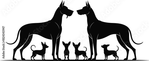 Black Silhouette Set of Dogs, Large Great Danes and Small Chihuahua Breeds, Comparing Giant and Toy Dog Size, Animal Pet Vector Illustration on White Background