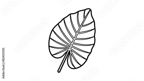 Simple hand drawn outline of a large tropical elephant ear leaf with prominent veins