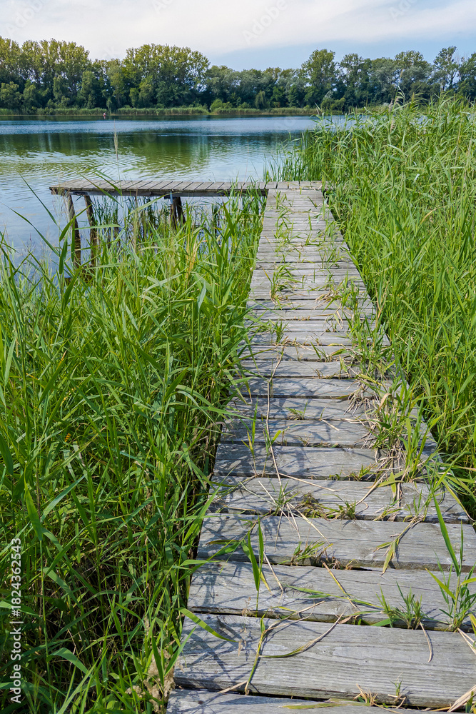 Fototapeta premium Holzsteg an einem Badesee, Brandenburg, Deutschland