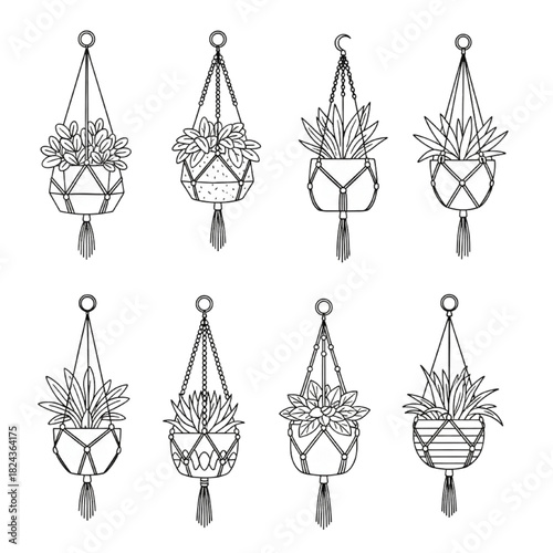 Macrame Plant Hanger Designs, Boho Chic Indoor Garden Decor for Home, Social Media, and Eco-Friendly Branding