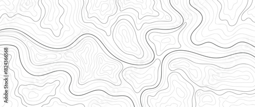 Topographic contour line vector background with abstract black flowing curves on white — minimal modern design for wallpaper, packaging and creative decoration