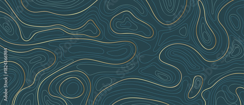 Luxury topographic contour line vector background with dark teal terrain shapes and elegant golden flowing curves — modern premium design for wallpaper, packaging and decoration