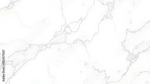 Premium White Marble Stone Background