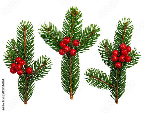 Festive evergreen sprigs with bright red berries (1)