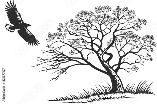 Flying Eagle & Tree Print | Black & White Nature Art