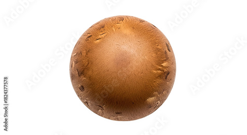 Single brown mushroom viewed from above, with smooth rounded cap, darker center, and light edges—natural texture and organic shape ideal for culinary or botanical reference