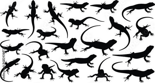 Lion, Elephant, Rhino, Horse, Camel, and Dog for Safari, Zoo, and Wildlife Graphic Design.