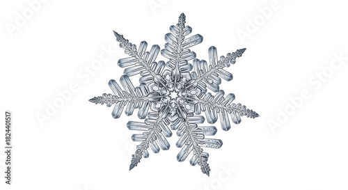 A single detailed ice crystal snowflake on a transparent background PNG image PNG file winter season decoration