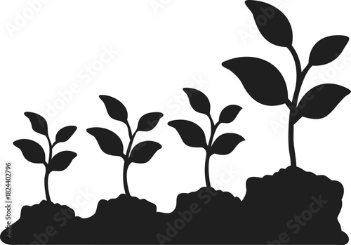 Plant Growth Stages Silhouette Icon