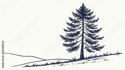 Illustration of a single pine tree on a grassy hill with a simple line drawing style landscape view