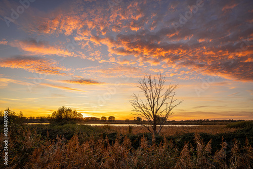 Linum lakes close to Fehrbellin, Brandenburg, Germany