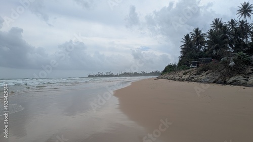 Heaven sunbeam tropics Sri Lanka peaceful secret paradise tropical beach ocean palm tree sand luxury reef seascape shoreline exotic untouched jungle no people