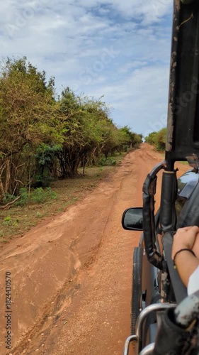 Serene african safari exploration group three gaze peaceful savanna huge mammal spotted driving pickup jeep offroad dirt road path track dust remote lush jungle national park sri lanka ceylon travel