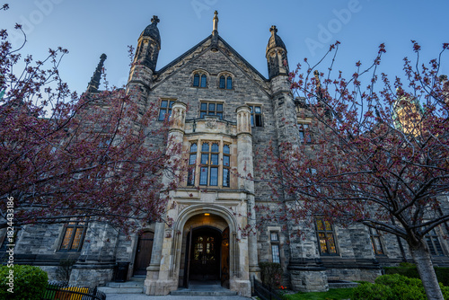 Photography Trinity College entrance framed by spring trees