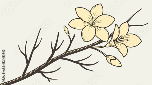 Illustration of a flowering branch with yellow blossoms and buds on a light background design art