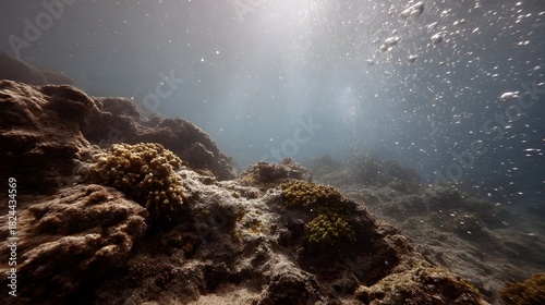Fototapeta Naklejka Na Ścianę i Meble -  Underwater scene showing rocky coral reef with sunlight filtering and bubbles rising