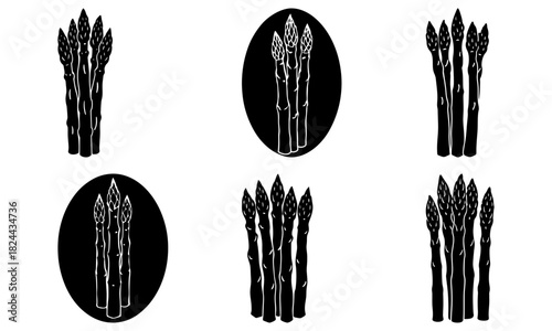 Illustration of six bunches of asparagus in black and white with varying arrangements and backgrounds