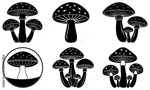 Illustration of six groupings of black and white mushrooms with varying sizes and arrangements