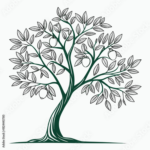 rangpur lime tree vector