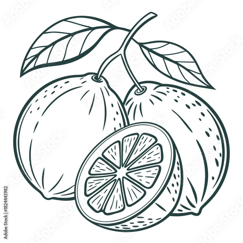 rangpur lime with leaves