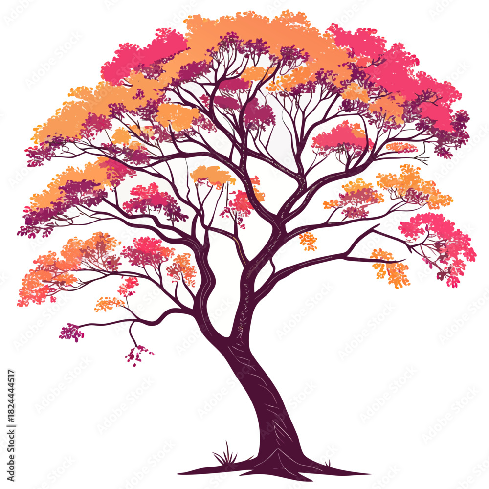 Obraz premium ramontchi tree on white background 