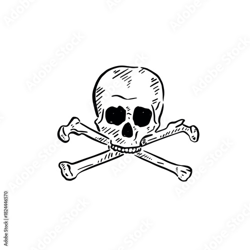 Skull and crossbones illustration created by hand.