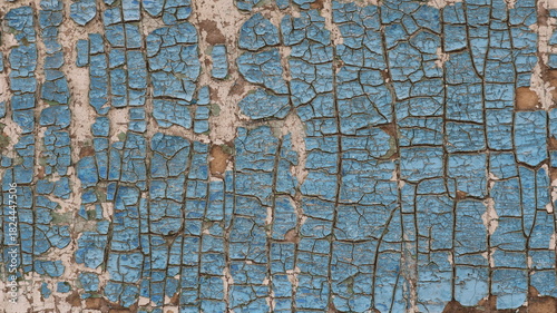 Background of a painted wall or fence with cracked blue paint, dry old peeling paint on a wooden surface as a background abstraction, blue peeling paint in cracks on white paint of the bottom layer