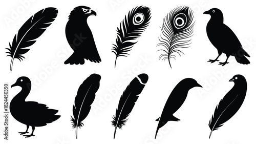 Collection of bird silhouettes vector illustration of various avian species and feathers isolated on white background