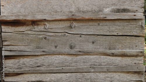 Knotty gray weathered boards in the structure of the wall of a house or abmar, as a rustic wood plank empty texture background, a fragment of a wooden dilapidated wall as a country copy space