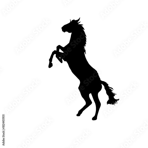 Dynamic Rearing Horse Silhouette Vector Illustration