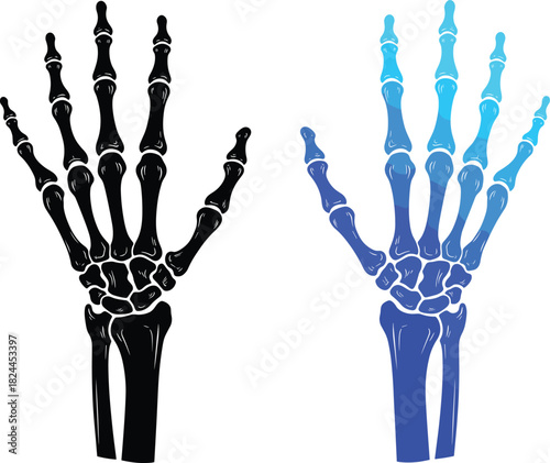 Vector illustration of human hand and wrist bones (skeleton) in black silhouette and a contrasting blue gradient color fill for medical design.