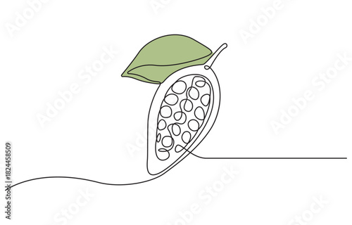 Continuous one line drawing of a cacao bean branch, with ripe pods and leaves isolated on transparent background.