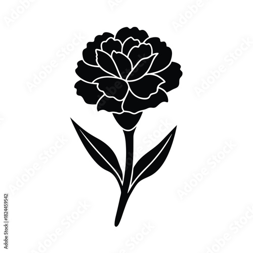 Carnation Flower Icon Vector Illustration