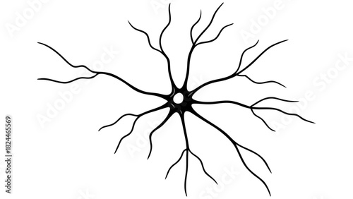 Motor Neuron Cell Vector Line Art. Anatomy of Dendrites and Axon.